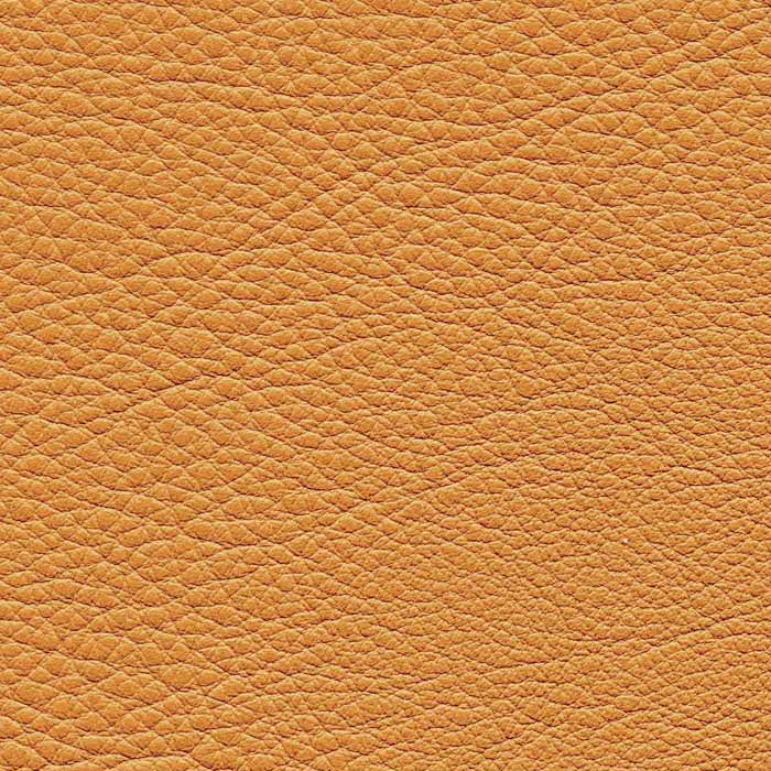 Eurosoft Leather - Instyle